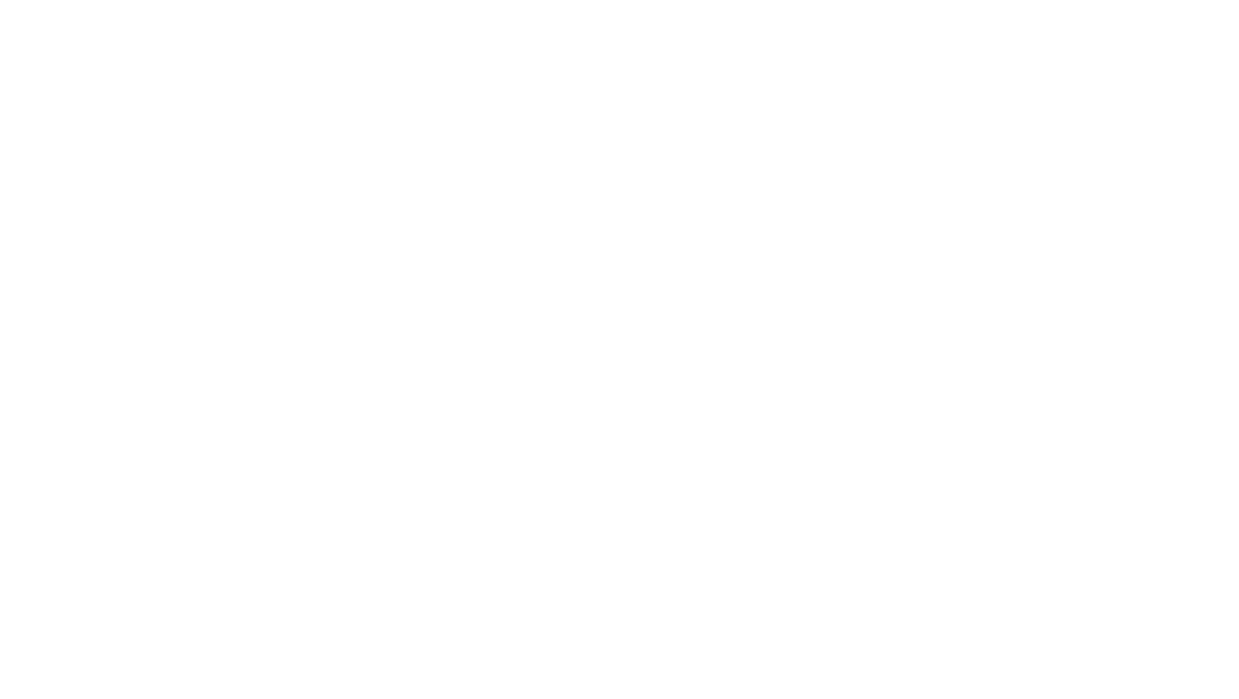 BIS Backup